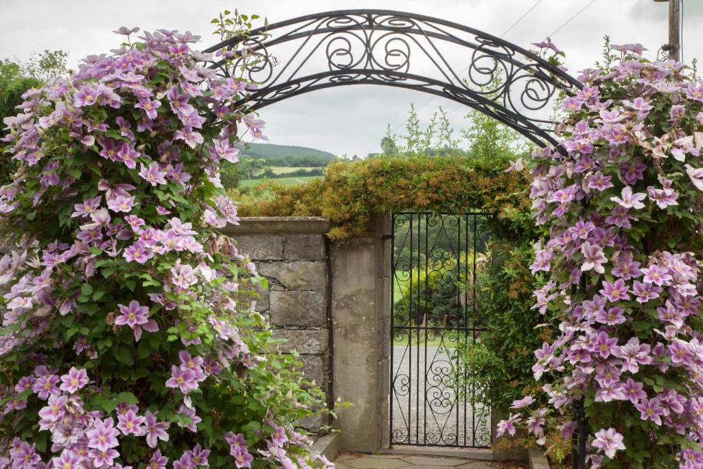 Glasha Farmhouse Guest House Ballymacarbry Bagian luar foto