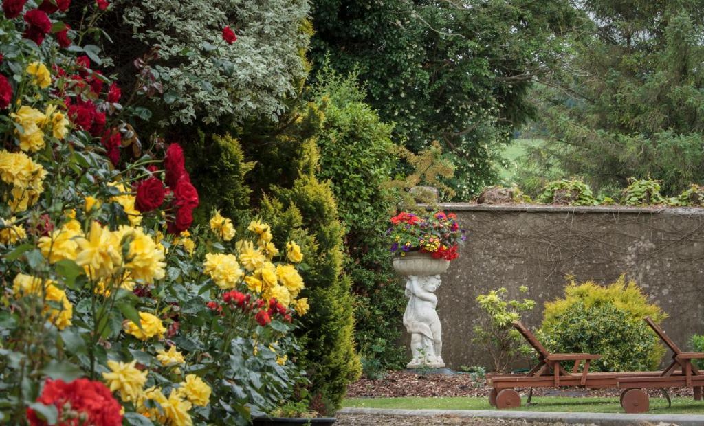 Glasha Farmhouse Guest House Ballymacarbry Bagian luar foto
